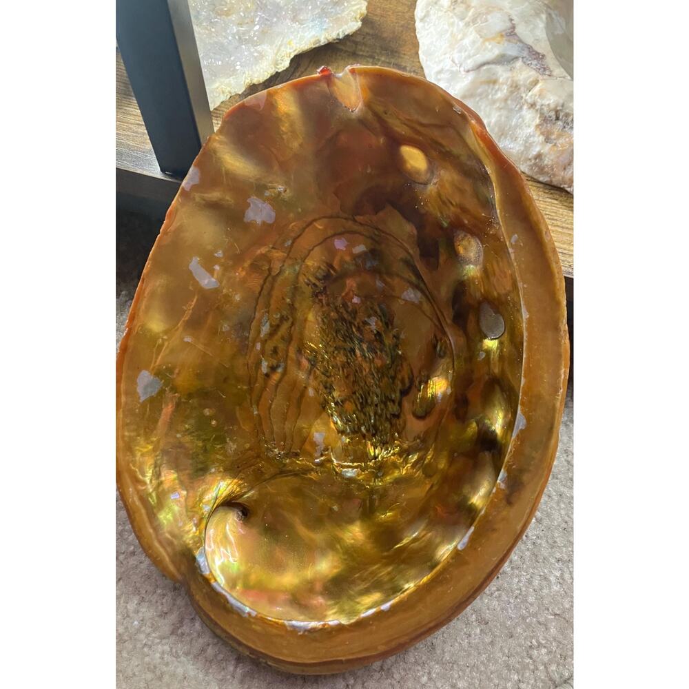 Vintage Hollywood Regency Coastal Abalone Pearl Shell Cigar Ashtray - Picture 6 of 9